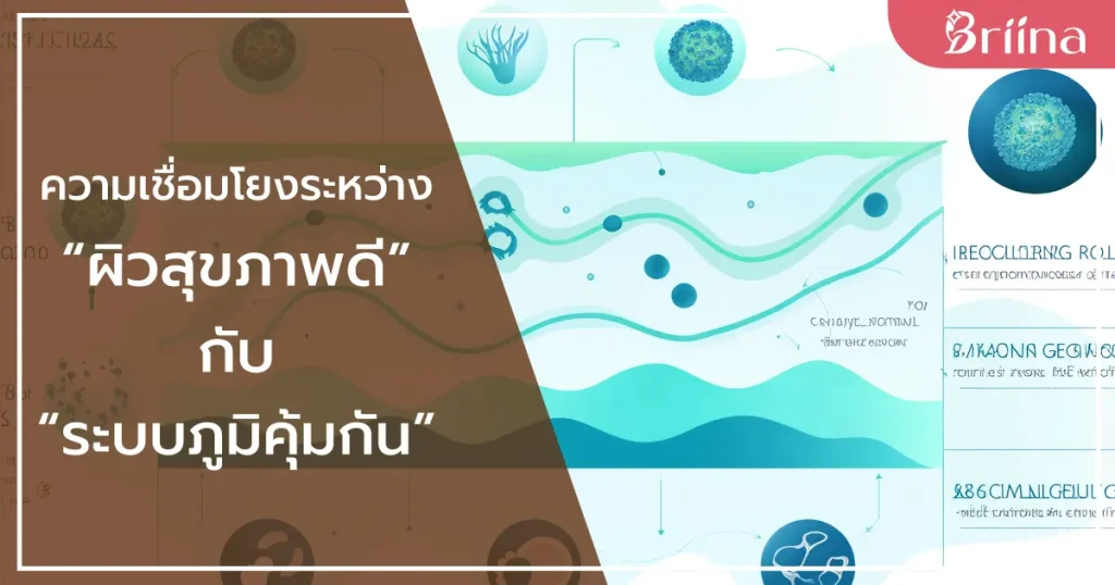 healthy-skin-and-immune-system