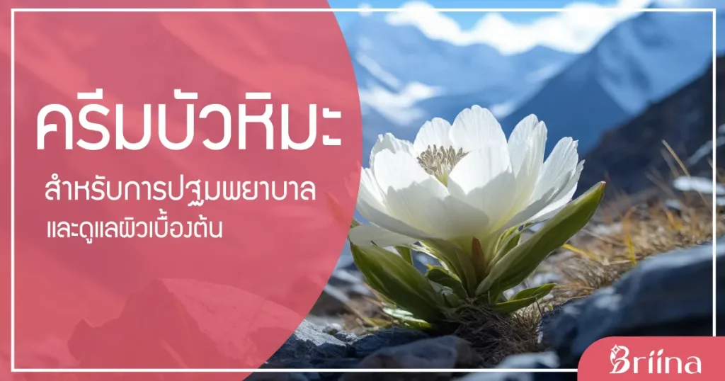 snow-lotus-cream-for-first-aid